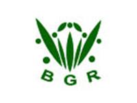 bgr